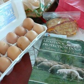 Let’s Bring Back Bartering Image